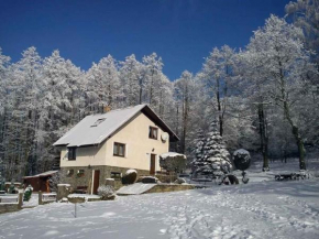 Holiday home in Marianska/Erzgebirge 1664